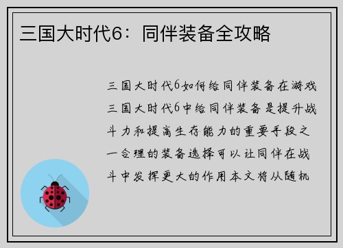 三国大时代6：同伴装备全攻略